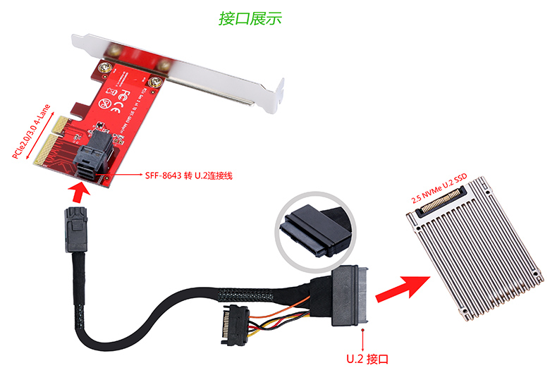 从发烧友玩家的角度介绍几款SFF-8639/U2接口转接卡
